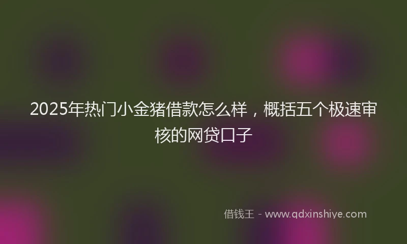 2025年热门小金猪借款怎么样，概括五个极速审核的网贷口子
