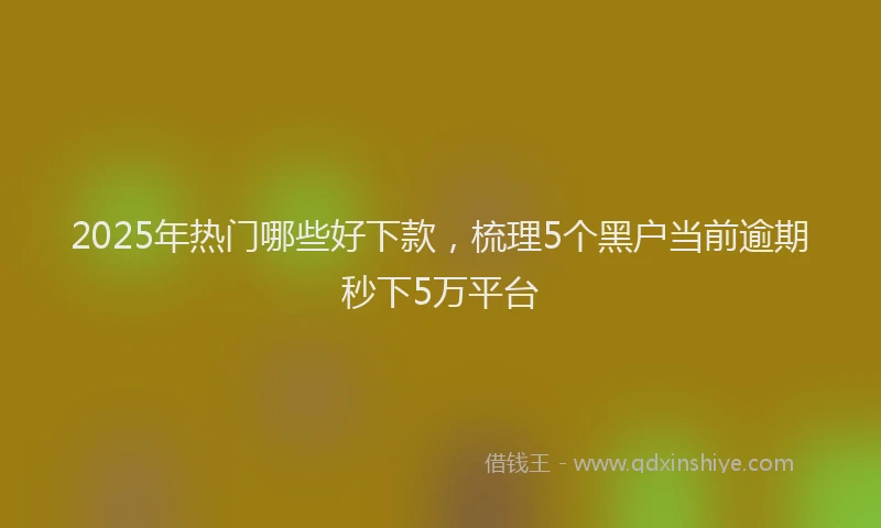 2025年热门哪些好下款，梳理5个黑户当前逾期秒下5万平台