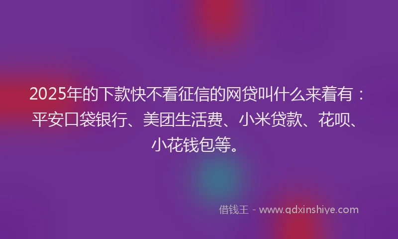 2025年的下款快不看征信的网贷叫什么来着有：平安口袋银行、美团生活费、小米贷款、花呗、小花钱包等。