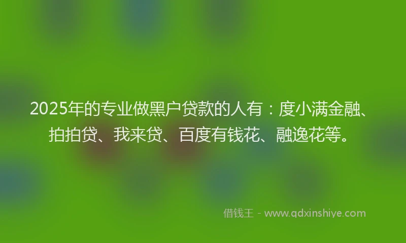 2025年的专业做黑户贷款的人有：度小满金融、拍拍贷、我来贷、百度有钱花、融逸花等。