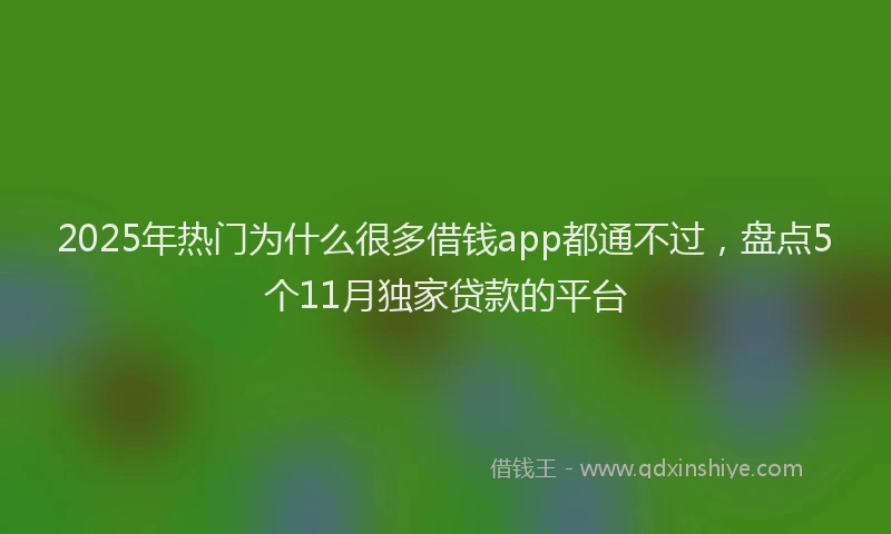 2025年热门为什么很多借钱app都通不过，盘点5个11月独家贷款的平台