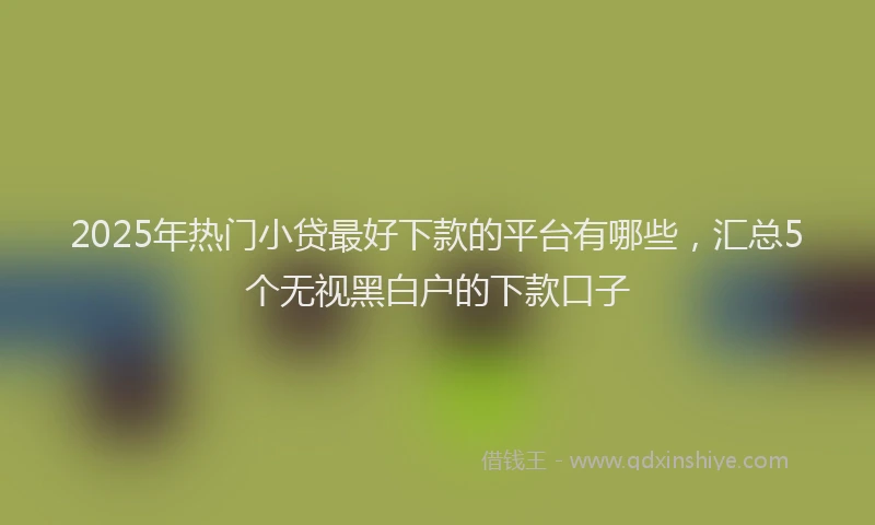 2025年热门小贷最好下款的平台有哪些，汇总5个无视黑白户的下款口子