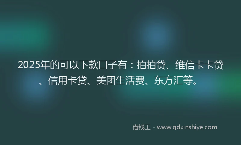 2025年的可以下款口子有：拍拍贷、维信卡卡贷、信用卡贷、美团生活费、东方汇等。