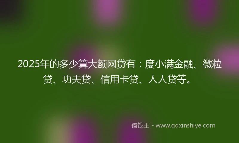 2025年的多少算大额网贷有：度小满金融、微粒贷、功夫贷、信用卡贷、人人贷等。