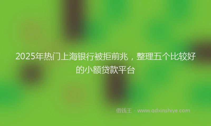2025年热门上海银行被拒前兆，整理五个比较好的小额贷款平台