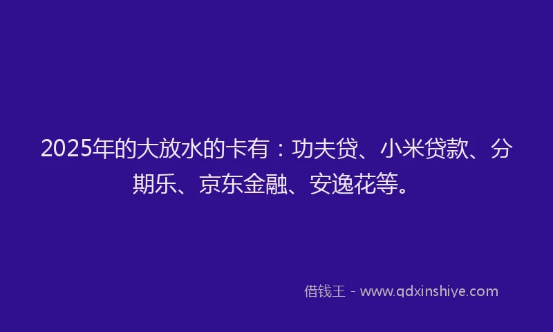 2025年的大放水的卡有：功夫贷、小米贷款、分期乐、京东金融、安逸花等。