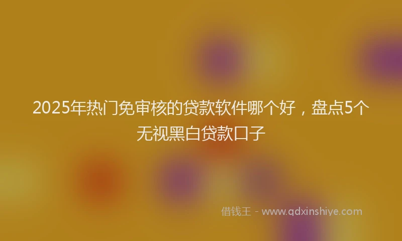2025年热门免审核的贷款软件哪个好，盘点5个无视黑白贷款口子