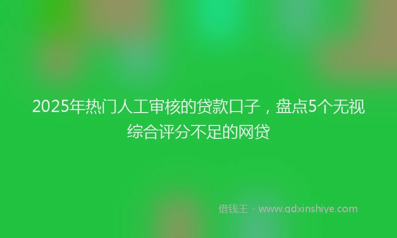 2025年热门人工审核的贷款口子，盘点5个无视综合评分不足的网贷