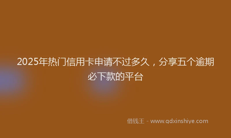 2025年热门信用卡申请不过多久，分享五个逾期必下款的平台