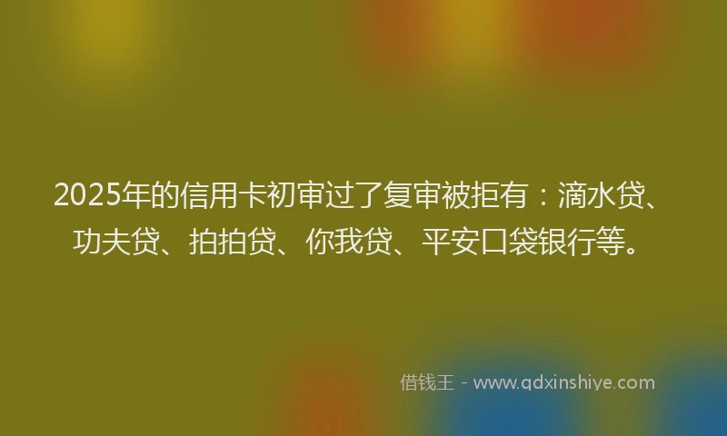 2025年的信用卡初审过了复审被拒有：滴水贷、功夫贷、拍拍贷、你我贷、平安口袋银行等。