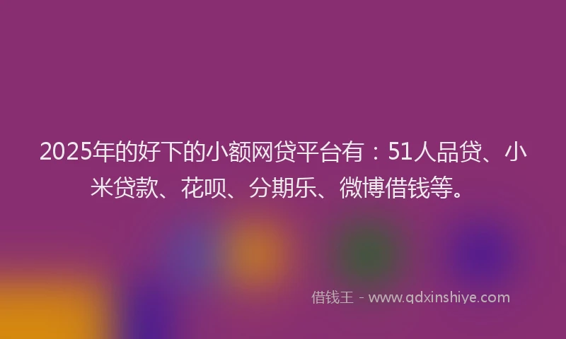 2025年的好下的小额网贷平台有：51人品贷、小米贷款、花呗、分期乐、微博借钱等。