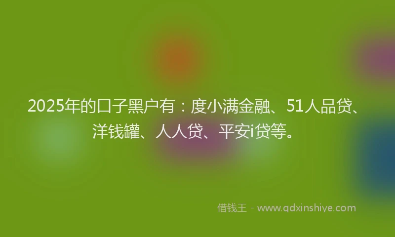 2025年的口子黑户有：度小满金融、51人品贷、洋钱罐、人人贷、平安i贷等。