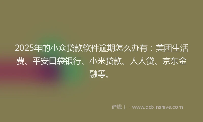 2025年的小众贷款软件逾期怎么办有：美团生活费、平安口袋银行、小米贷款、人人贷、京东金融等。