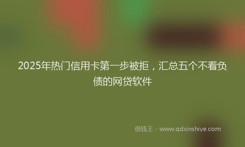 2025年热门信用卡第一步被拒，汇总五个不看负债的网贷软件