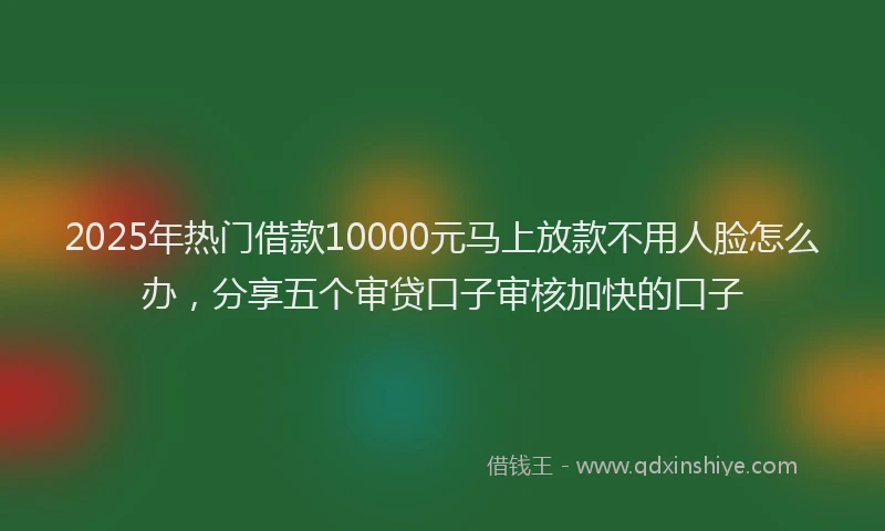 2025年热门借款10000元马上放款不用人脸怎么办，分享五个审贷口子审核加快的口子