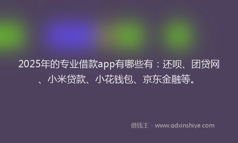 2025年的专业借款app有哪些有：还呗、团贷网、小米贷款、小花钱包、京东金融等。