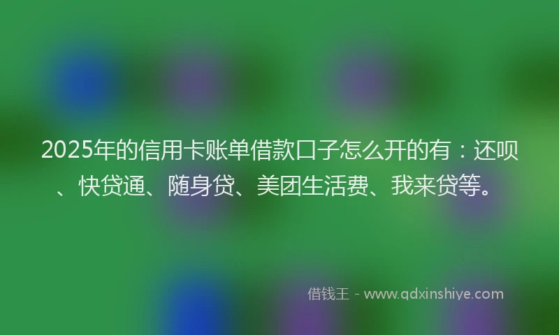 2025年的信用卡账单借款口子怎么开的有：还呗、快贷通、随身贷、美团生活费、我来贷等。