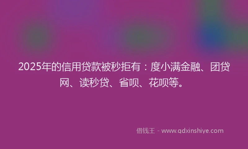 2025年的信用贷款被秒拒有：度小满金融、团贷网、读秒贷、省呗、花呗等。