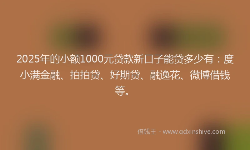 2025年的小额1000元贷款新口子能贷多少有：度小满金融、拍拍贷、好期贷、融逸花、微博借钱等。