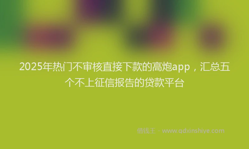 2025年热门不审核直接下款的高炮app，汇总五个不上征信报告的贷款平台