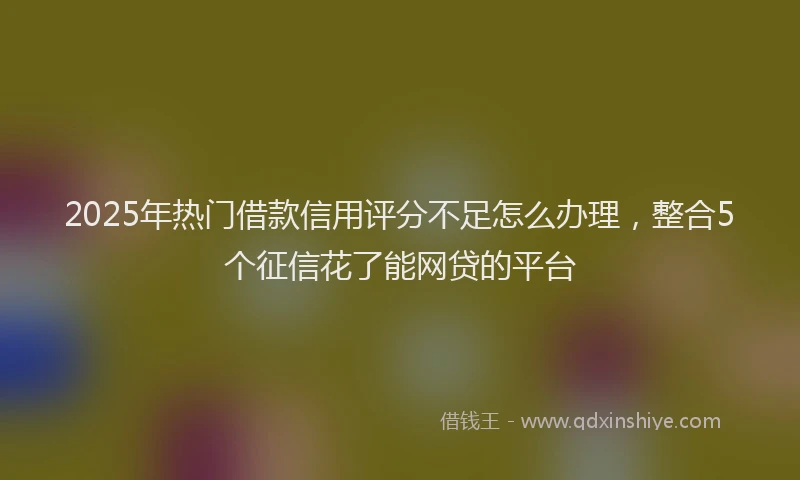2025年热门借款信用评分不足怎么办理，整合5个征信花了能网贷的平台