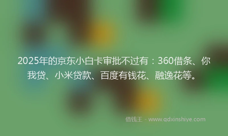 2025年的京东小白卡审批不过有：360借条、你我贷、小米贷款、百度有钱花、融逸花等。