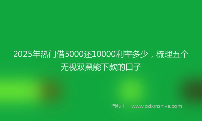 2025年热门借5000还10000利率多少，梳理五个无视双黑能下款的口子
