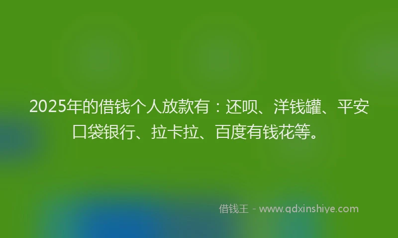 2025年的借钱个人放款有：还呗、洋钱罐、平安口袋银行、拉卡拉、百度有钱花等。