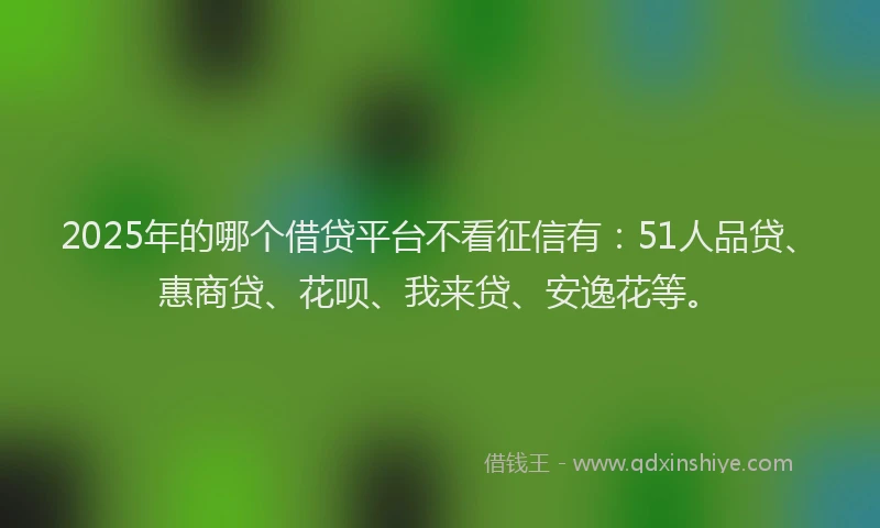 2025年的哪个借贷平台不看征信有：51人品贷、惠商贷、花呗、我来贷、安逸花等。