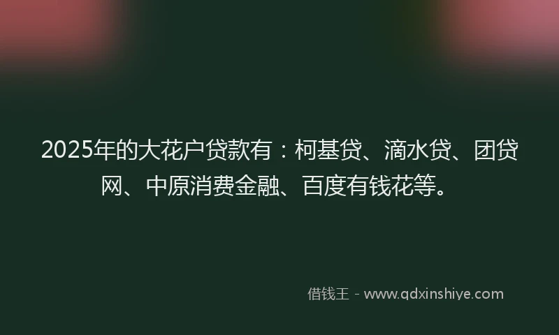 2025年的大花户贷款有：柯基贷、滴水贷、团贷网、中原消费金融、百度有钱花等。