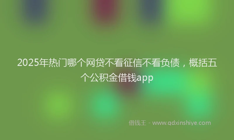 2025年热门哪个网贷不看征信不看负债，概括五个公积金借钱app