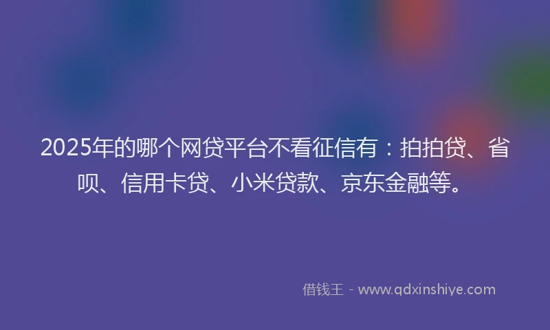 2025年的哪个网贷平台不看征信有：拍拍贷、省呗、信用卡贷、小米贷款、京东金融等。