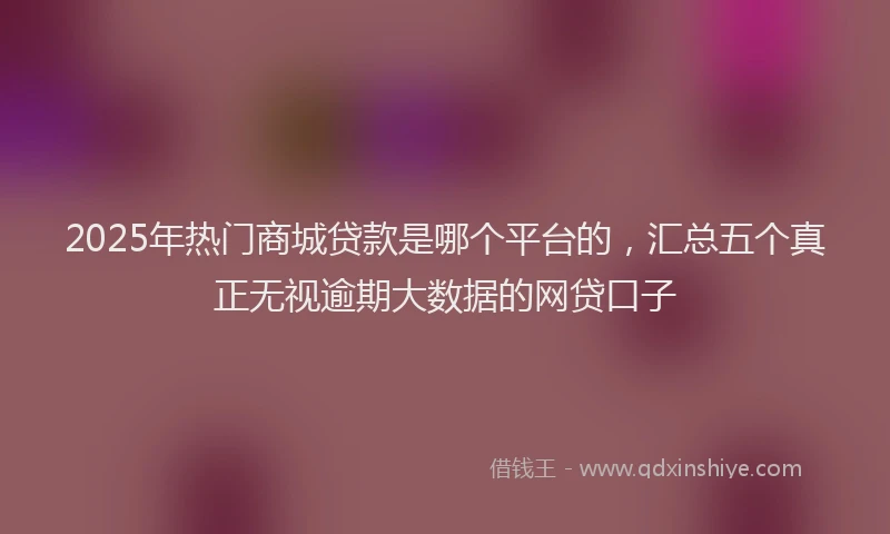 2025年热门商城贷款是哪个平台的，汇总五个真正无视逾期大数据的网贷口子