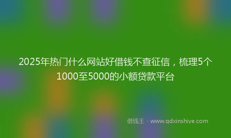 2025年热门什么网站好借钱不查征信，梳理5个1000至5000的小额贷款平台