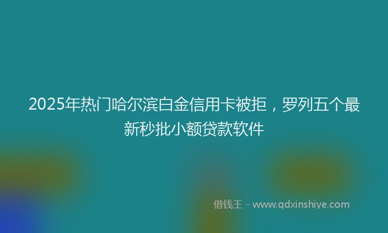2025年热门哈尔滨白金信用卡被拒，罗列五个最新秒批小额贷款软件