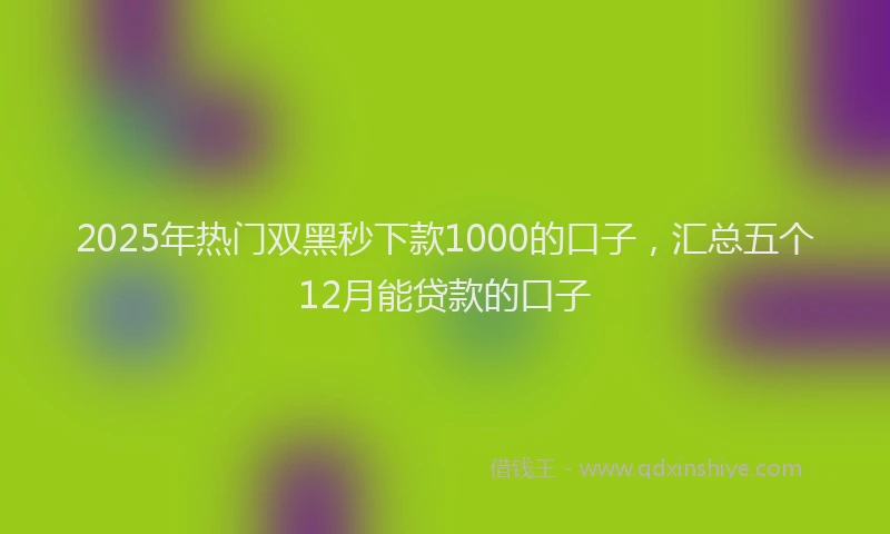 2025年热门双黑秒下款1000的口子，汇总五个12月能贷款的口子