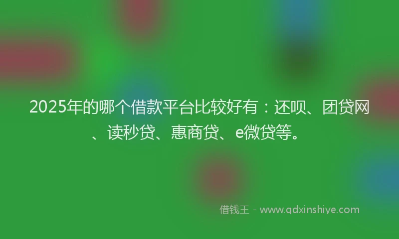 2025年的哪个借款平台比较好有：还呗、团贷网、读秒贷、惠商贷、e微贷等。