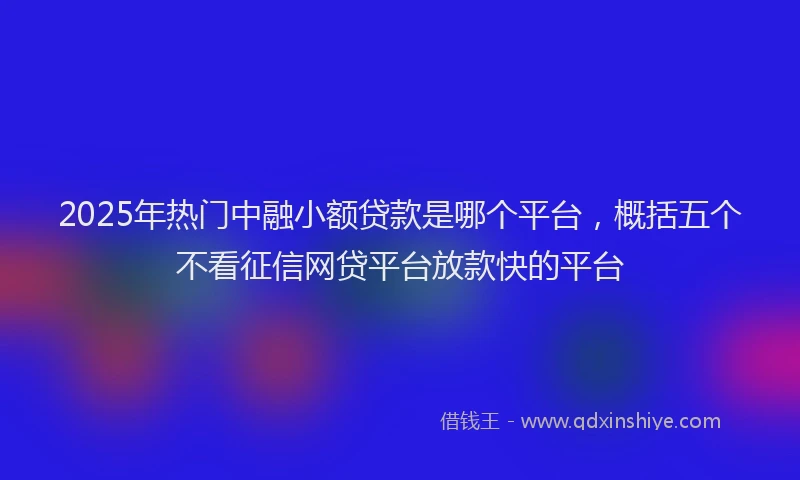 2025年热门中融小额贷款是哪个平台，概括五个不看征信网贷平台放款快的平台