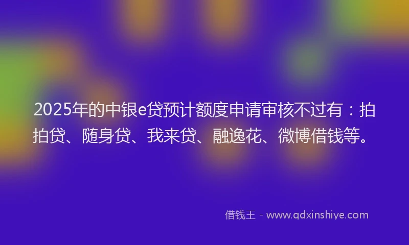 2025年的中银e贷预计额度申请审核不过有：拍拍贷、随身贷、我来贷、融逸花、微博借钱等。