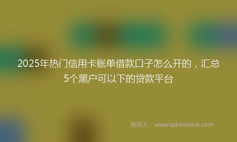 2025年热门信用卡账单借款口子怎么开的，汇总5个黑户可以下的贷款平台