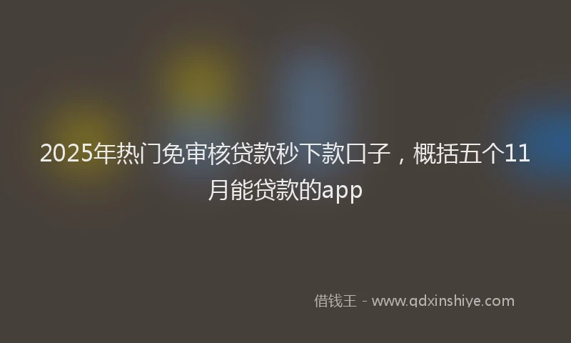 2025年热门免审核贷款秒下款口子，概括五个11月能贷款的app