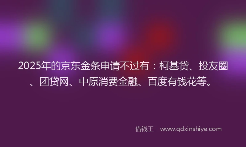 2025年的京东金条申请不过有：柯基贷、投友圈、团贷网、中原消费金融、百度有钱花等。