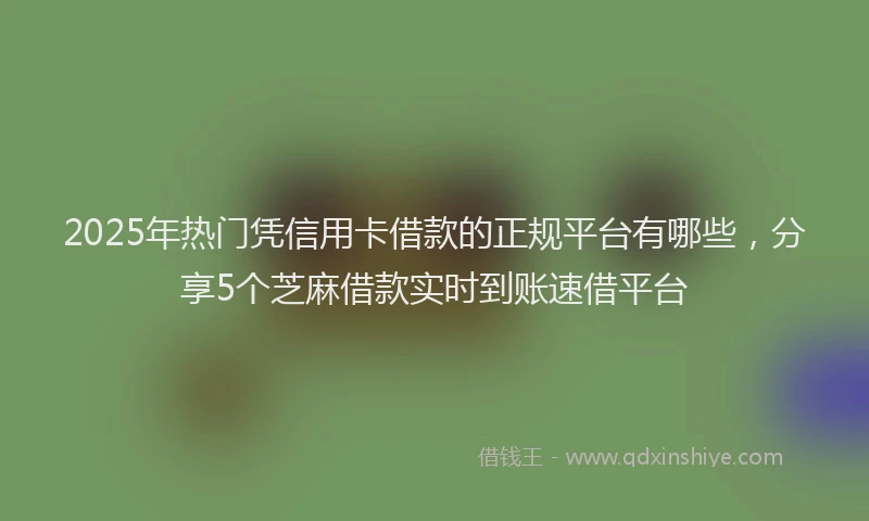 2025年热门凭信用卡借款的正规平台有哪些，分享5个芝麻借款实时到账速借平台