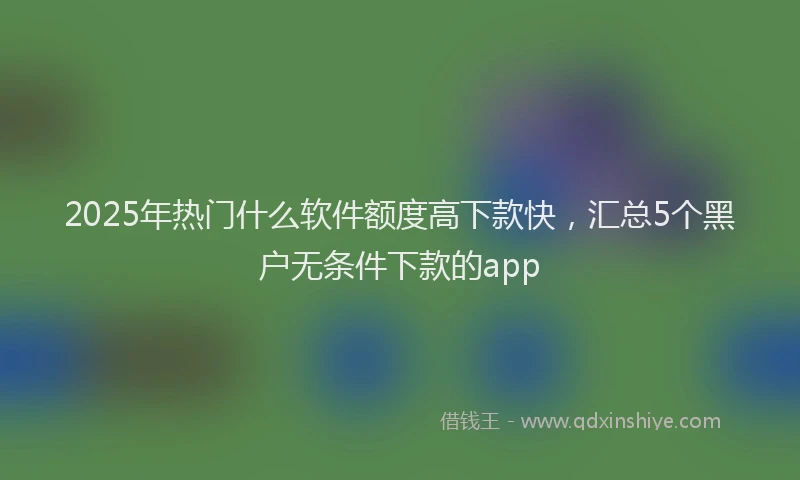 2025年热门什么软件额度高下款快，汇总5个黑户无条件下款的app