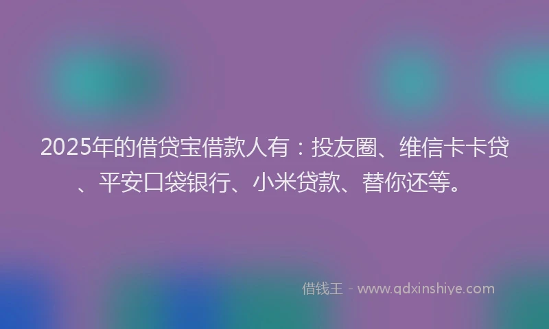 2025年的借贷宝借款人有：投友圈、维信卡卡贷、平安口袋银行、小米贷款、替你还等。