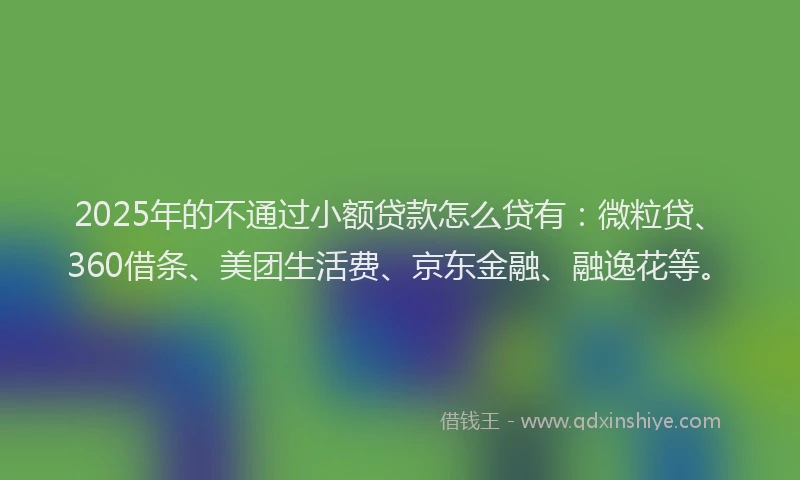 2025年的不通过小额贷款怎么贷有：微粒贷、360借条、美团生活费、京东金融、融逸花等。