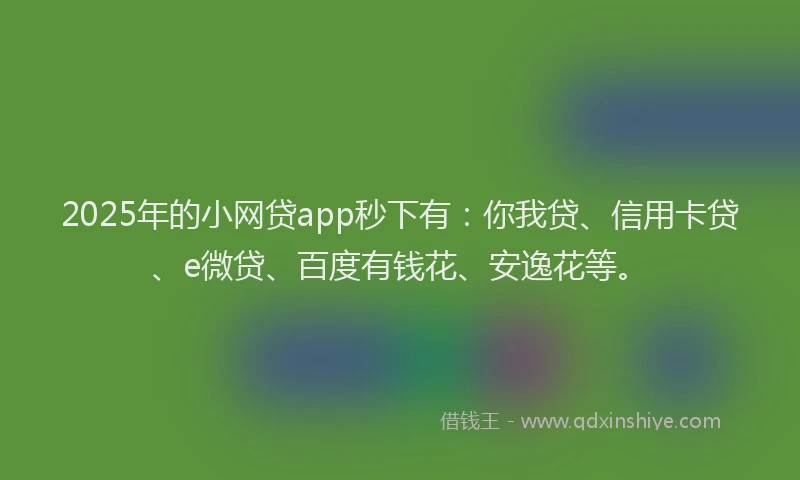 2025年的小网贷app秒下有:你我贷、信用卡贷、e微贷、百度有钱花、安逸花等。