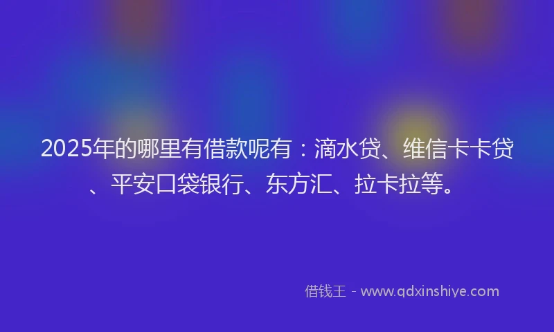 2025年的哪里有借款呢有：滴水贷、维信卡卡贷、平安口袋银行、东方汇、拉卡拉等。