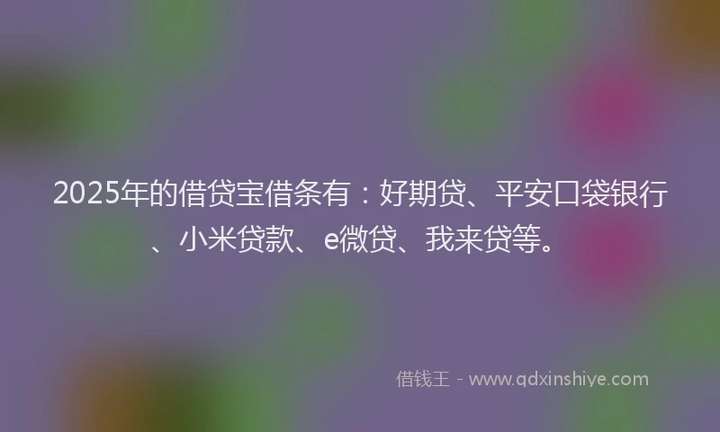 2025年的借贷宝借条有：好期贷、平安口袋银行、小米贷款、e微贷、我来贷等。