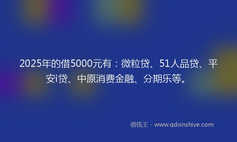 2025年的借5000元有：微粒贷、51人品贷、平安i贷、中原消费金融、分期乐等。